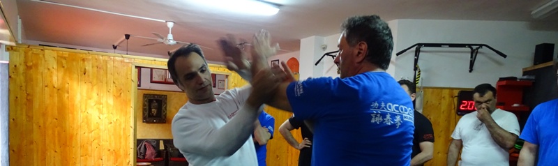 Kung Fu Caserta Italia Accademia di Wing Chun di Sifu Salvatore Mezzone